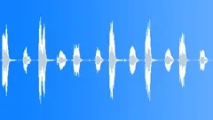 TOY, SQUEEZESound Effect