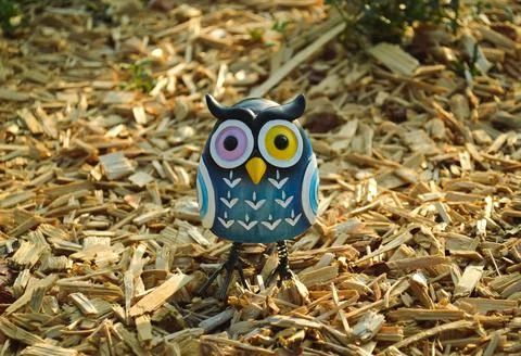 A toy of a surprised blue owl with multi-colored eyes close-up stands on wood Stock Photos