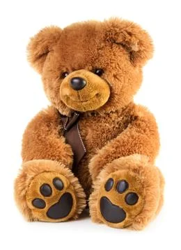 Toy teddy bear Stock Photos