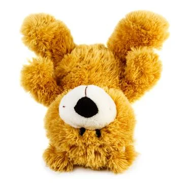 Toy teddy bear Stock Photos