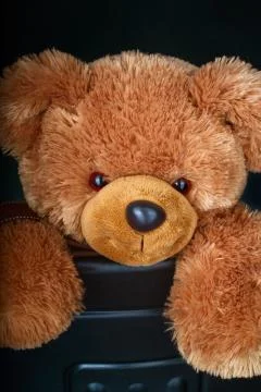 Toy teddy bear Foto stock