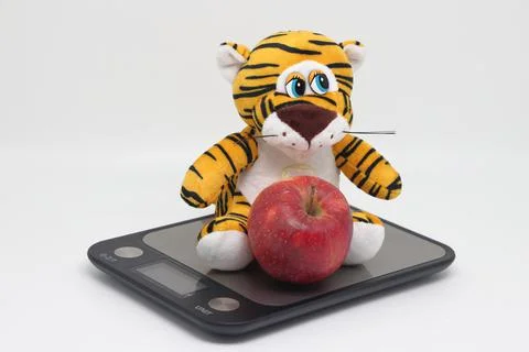 A toy tiger on an electronic kitchen scale controls its weight. Stock Photos