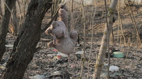 Toy on a tree Video stock 68843307