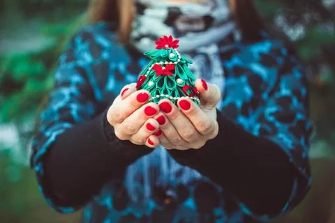 Toy tree in hands Photos