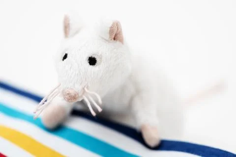The toy white rat. Stock Photos