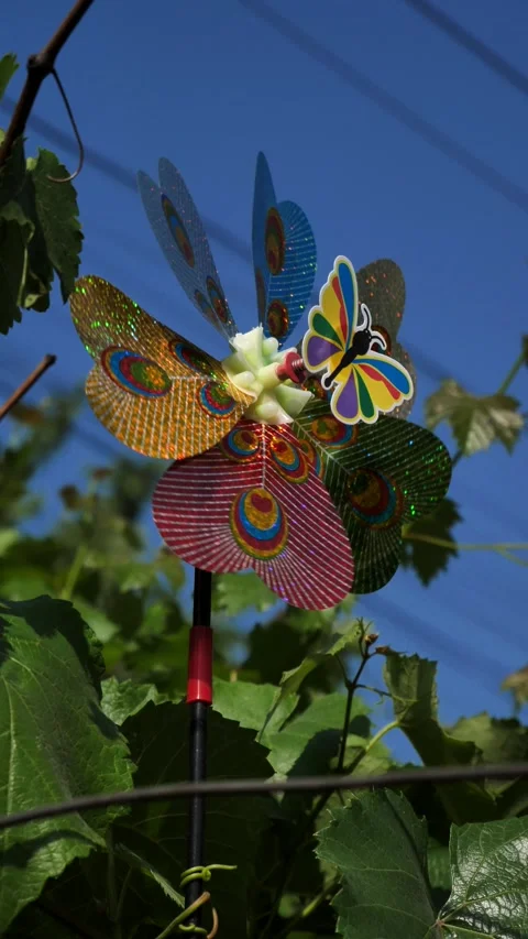 A toy windmill over a chicken coop to scare away sparrows Stock Footage 310860721
