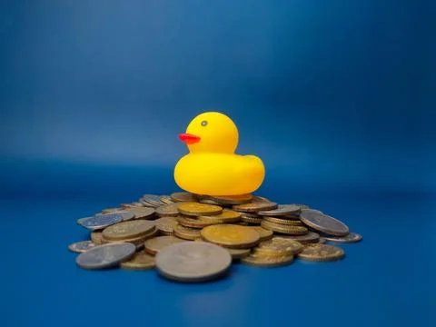 A toy yellow duck is on top of a stack of coins Stock Photos