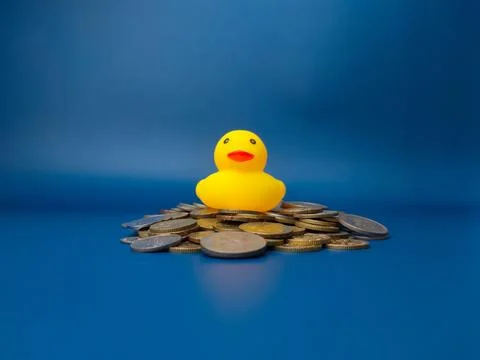 A toy yellow duck is on top of a stack of coins Stock Photos