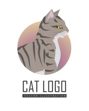 Toyger Cat Vector Flat Design Illustration 스톡 일러스트