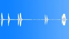 Toyota ext echoSound Effect