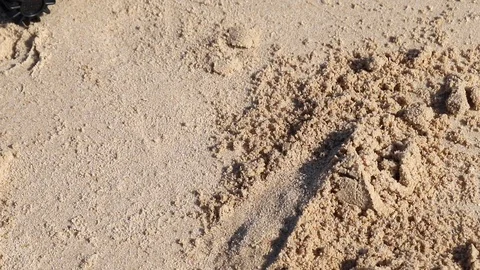 Toys on the beach Stock Footage 116725579