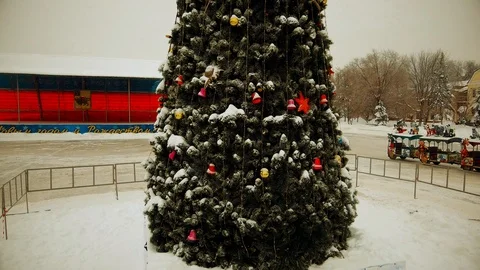 Toys hanging on the tree Stock Footage 100594121