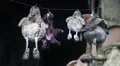 Toys hanging on a wire inside burnt building HD Footage