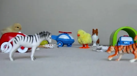 Toys include yellow chick browsing Stock Footage 64966966