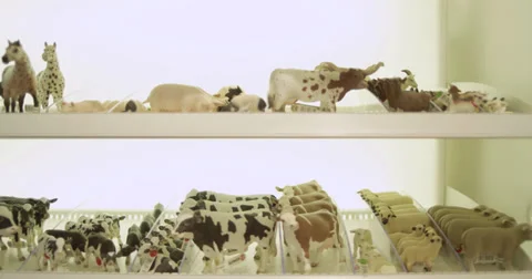 Toys Multi 4K 01 Stock Footage 39857129