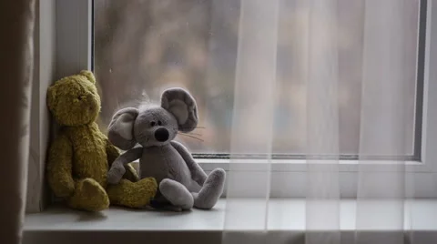 Toys on the Windowsill Stock Footage 40057487