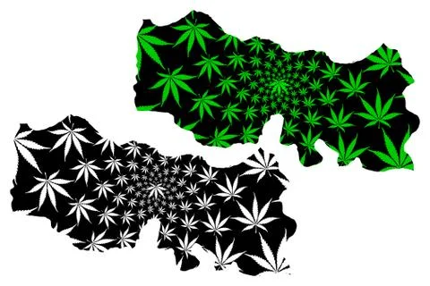 Trabzon (Provinces of the Republic of Turkey) map is designed cannabis leaf g Stock Illustration