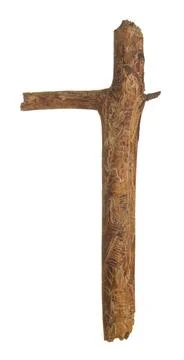 Trace after beetle larvae damage on coniferous wood Stock Photos