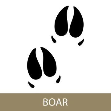 Trace of Animal Boar 스톡 일러스트