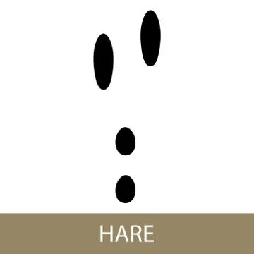 Trace of Animal Hare Stock Illustration
