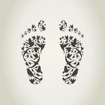 Trace a bird Stock Photos