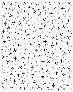 Trace of birds Stock Illustration