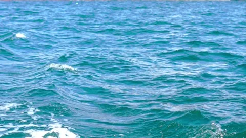 Trace from a boat on the water Stock Footage 140962666
