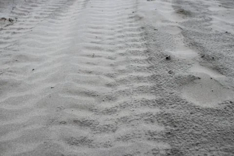 Trace from the car. Stock Photos