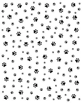 Trace of cats Stock Illustration