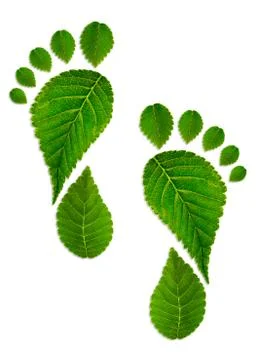 Trace foot from leaves Illustrazione stock