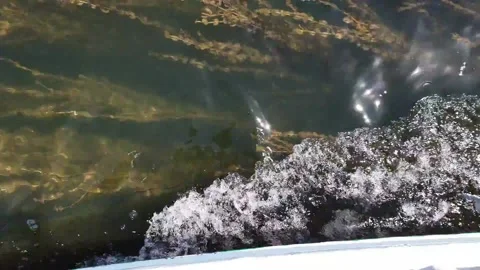 Trace On The Nile River Water Left By Motor Boat While Sailing (March 2021) Vídeo Stock 150785608