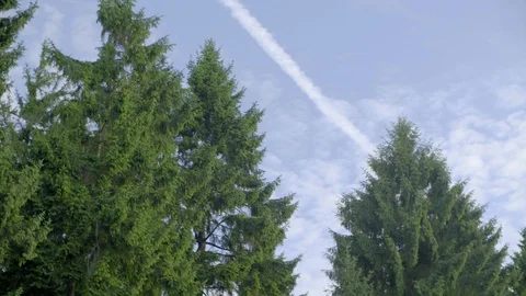 Trace of the Plane in the Sky Stock Footage 99259393