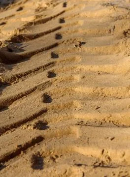 Trace the sand Foto stock