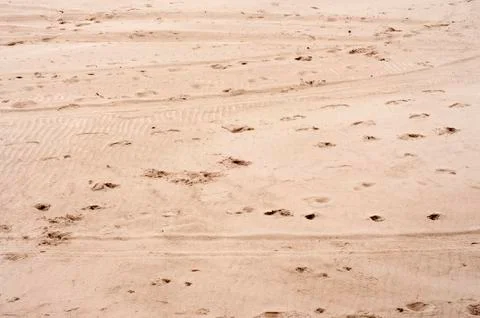 Trace On Sand Stock Photos