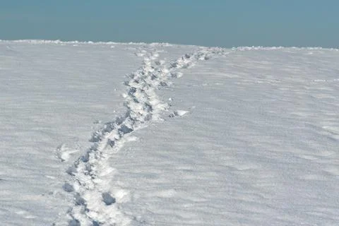 Trace in snow uphill Stock Photos
