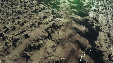 Trace tractor 스톡 동영상 49191911