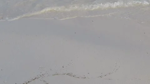 Trace of waves on the beach Stock Footage 267593860