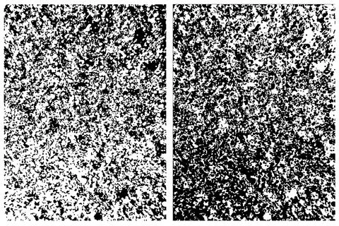 Traced sand texture. Two options with a grunge effect. 库存插图