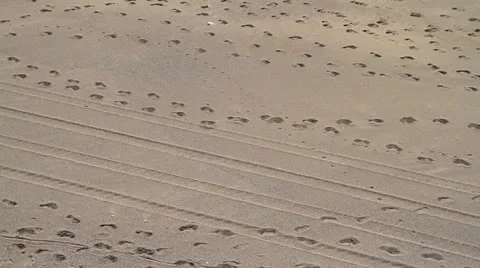 Traces and footprints on sand Stock Footage 24738152