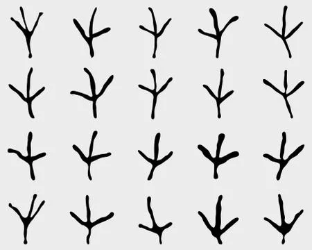 Traces of birds Stock Illustration