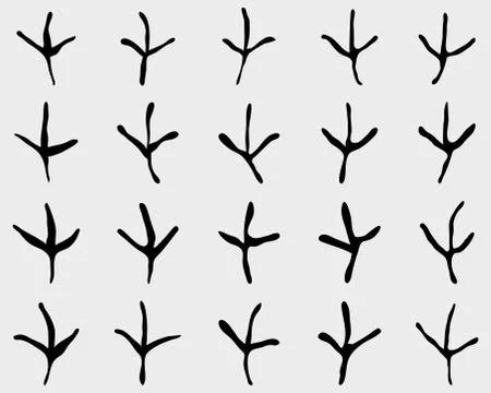 Traces of birds Stock Illustration