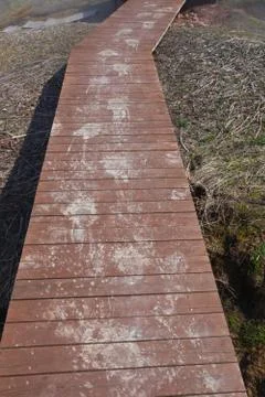 Traces of brown bear on a foot path in the Valley of the Geysers Stock Photos