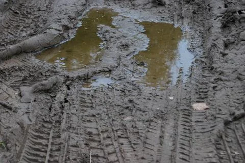 Traces of the car in a dirty puddle Stock Photos