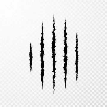 Traces from the claws of the monster. Claw scratch mark. Animal scratch isola Stock Illustration