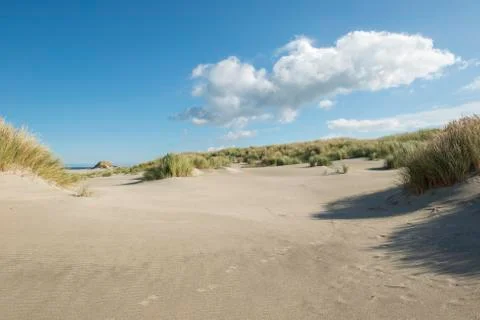 Traces in the dunes. Stock Photos