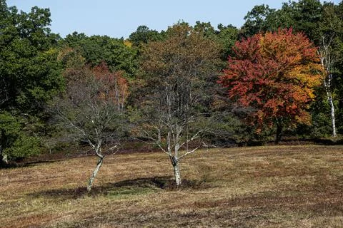 Traces of fall at the quabbin reservior Stock Photos