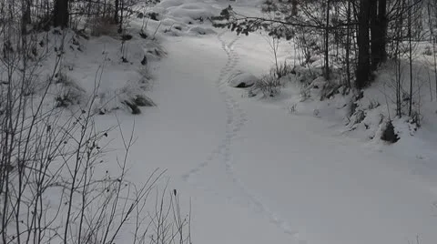 Traces Stock Footage 8992222