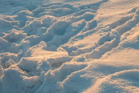 Traces in the fresh snow in the rays of the evening sun at sunset Stock Photos
