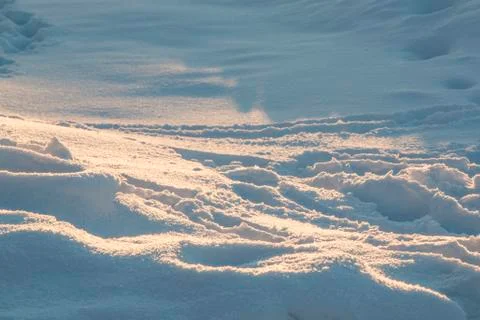 Traces in the fresh snow in the rays of the evening sun at sunset Stock Photos
