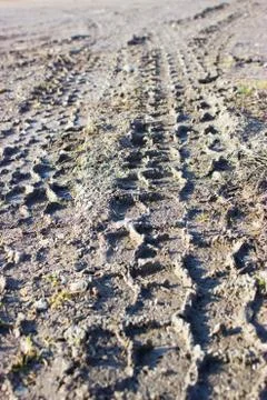Traces on the ground from the car on the mud Foto stock